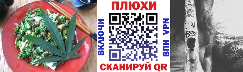 Cannafood конопля  Нефтекумск 