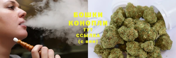 молекула духа Аркадак