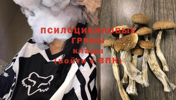 mdpv Баксан