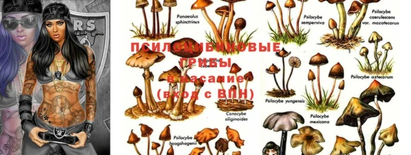 кокаин Арсеньев