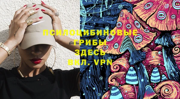 молекула духа Аркадак