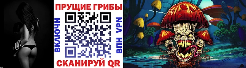 Псилоцибиновые грибы Magic Shrooms  Нефтекумск 